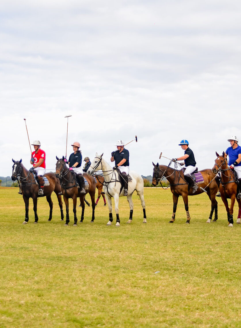 Affluence Black Polo _2022_polo